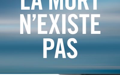 La mort n’existe pas – Stéphane Allix